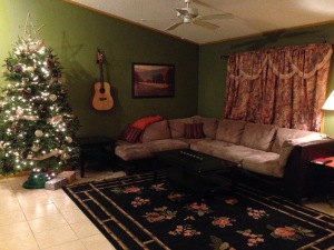 Our new living room