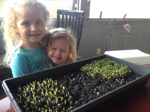 We planted our first sprouts... so fun to watch!