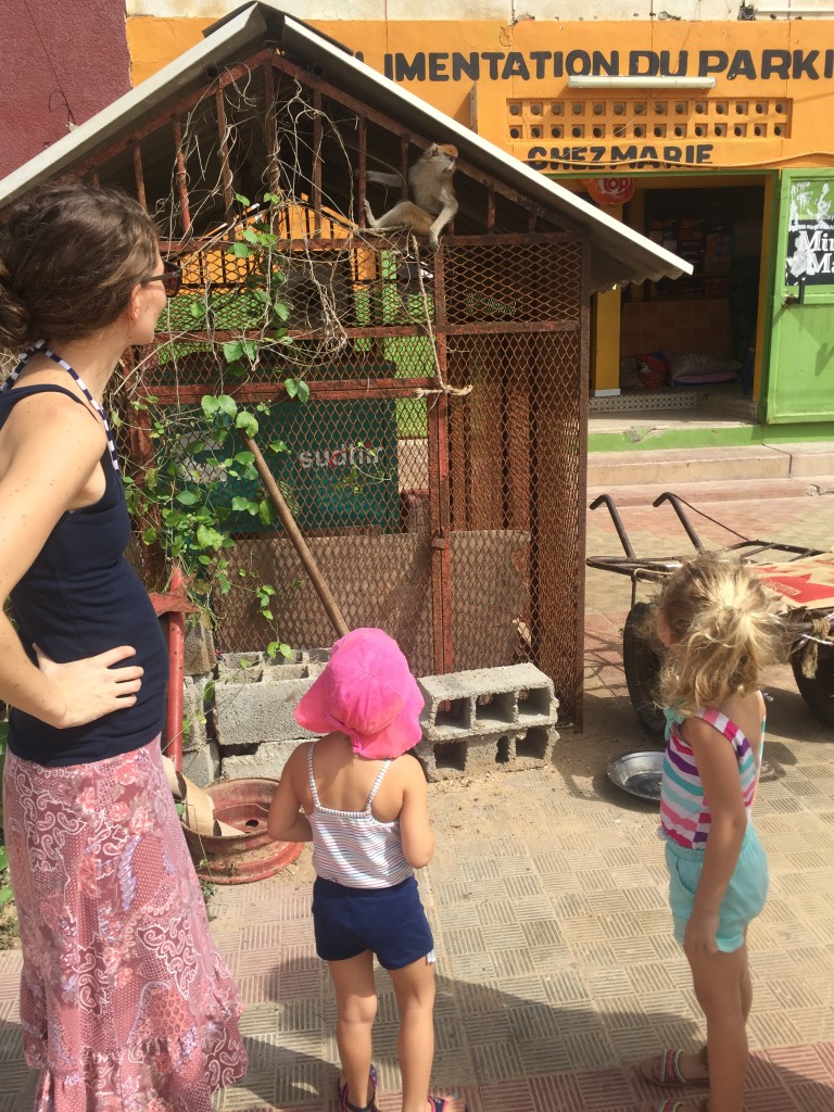 the girls looking at a monkey